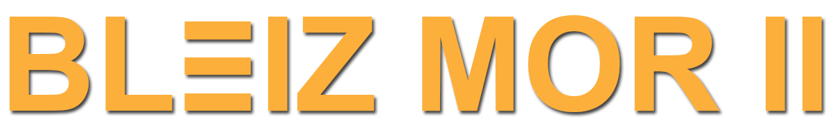 Logo BLEIZ MOR